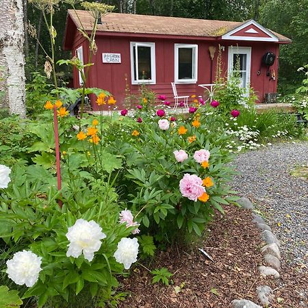 Trapper John'S Cabin & Cottages Talkeetna Eksteriør billede